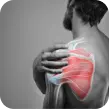 Muscle and Joint Pain